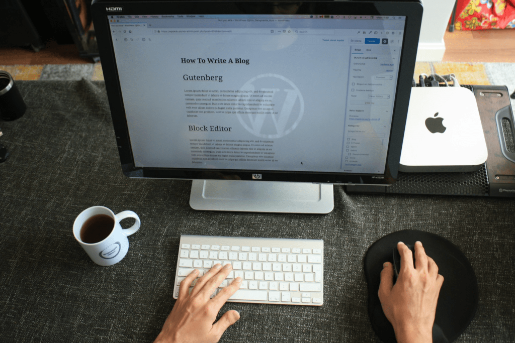 Choose Wordpress if you are SEO beginner