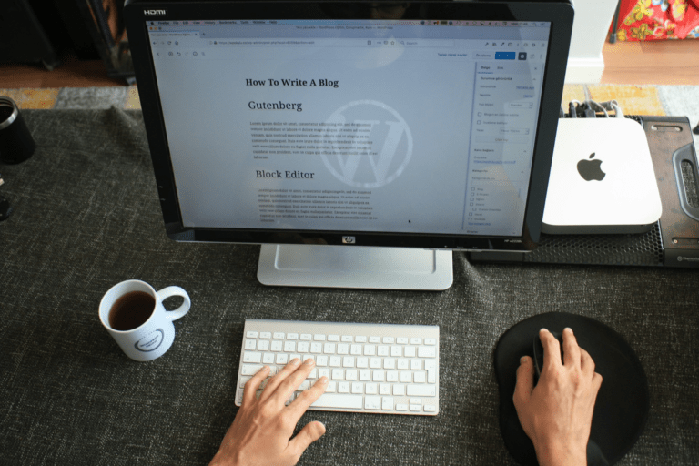Choose WordPress if you are SEO beginner